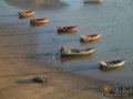美丽的海滨——北戴河(图)
