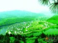 古树斜阳硝烟环水 桃源古城婺源[图]