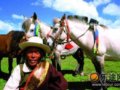 到拉萨 开始新的旅途
