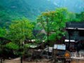 太行绝壁上的村庄——郭亮村