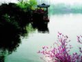 杭州两日 一场春色的旅途 (组图)