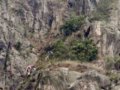 迷路仍冒险攀崖 港登山老手抓草借力堕崖亡(图