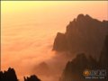 细雨轻吟泰山春 迷恋飘逸