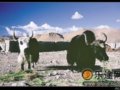 转山之旅：跟着朝圣者领略重生
