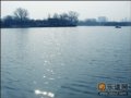济南：别让我那么惊喜