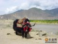 我们的西藏故事--旅行扎记三(组图)
