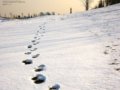 图集：北京 邂逅那一场雪