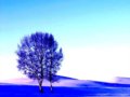 图集:坝上冬日的冰雪美丽
