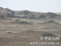 “伊犁驴”挑战库木塔格沙漠