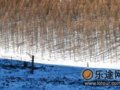 热走京郊：烽火邮亭 塞外荒原任由缰（组图）