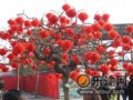 今年春节庙会特别多(图)