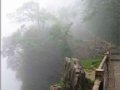 醉在峨眉晓雾里