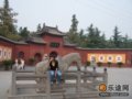 游白马寺