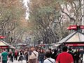 巴塞罗那精彩玩乐街La Rambla