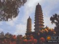 三晋名刹双塔寺(图)