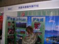 西昌华源国内旅行社展台