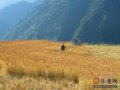 白山黑水生死一线
