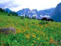 组图：夹金山