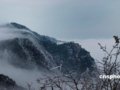 云海、雾淞同现庐山“就像一幅山水画”