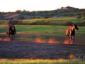 坝上：策马飞上草原