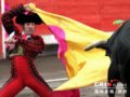 西班牙斗牛士：生死边缘上的优雅贵族