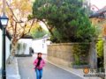 杭州：曲径通幽老街巷(图)