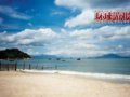 美丽的惠东海湾(图)