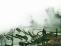 元阳烟雨迷雾梦幻仙境