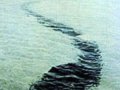 尼斯湖水怪之谜(组图)