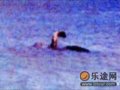 美国版本的尼斯湖水怪：强普(图)