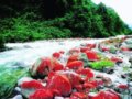 贡嘎山下独特浓郁的民俗风情
