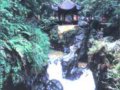 峨眉山：仙的世界佛的海洋