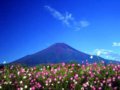 图集：日本富士山美得惊人