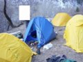 Pureland�ĸ�������Ա���(ͼ)
