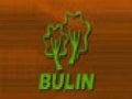 ����-BULIN