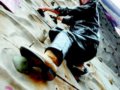 阿兰罗伯特备战天门洞：这只是很平常的挑战[图]