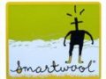 SmartWool��˾Ivendix(B2B)��������ϵͳ����������