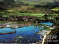 丽江第一景：观音峡(图)