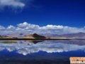 �ɿ��������Ƭ