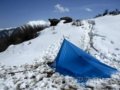 ��������TARP����