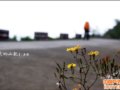 �书ɽ��