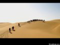 ���еĻ�Į---�Ⲽ�봩Խ