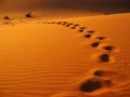 �ϵۻ����й����������ɳĮ