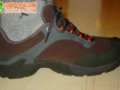 TEVA�¿�Ь�������顢����