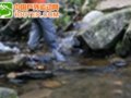 �����˹TM�����Դ��---����Ь��������