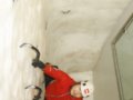 TNF�й��׼��콢�꿪ҵ ��������8���˹�����