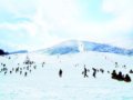 南国雪都神农架滑雪场举行中国生态旅游年