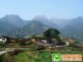 龙岩：山美水美人也美(图)