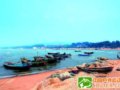 �ൺ���޿ɾ�ҩ�İ�����(��ͼ)