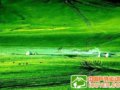 天山草原徒步穿越经典路线